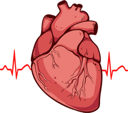 DOC-CONNECT pour la Cardiologie