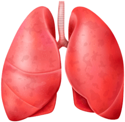 DOC-CONNECT pour la Pneumologie